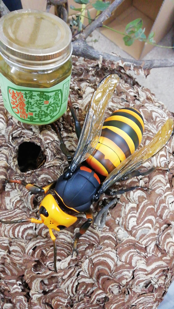 オオスズメバチ蜂の子 通販